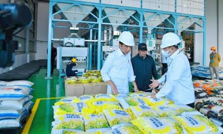 Presiden Jokowi Minta Bulog Serap Gabah Petani Sebanyak-banyaknya