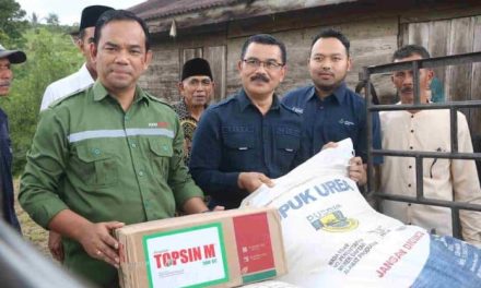 Koperasi Kampuang Sarugo Dapatkan Bantuan Pupuk Dan Pestisida