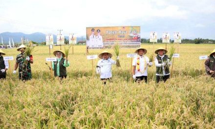 Panen Raya Padi di Banggai, Mendagri: Ini Bukti Kita Memiliki Kemampuan untuk Produksi