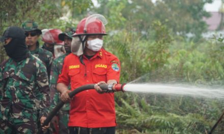 KLHK Tingkatkan Upaya Pengendalian Karhutla Kalimantan Barat