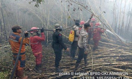 Upaya Tim Satgas Darat dan Udara Kendalikan Karhutla di Ogan Komering Ilir