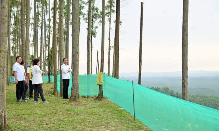 Pagi Hari di IKN, Presiden Tunjukkan Para Menteri Pemandangan IKN dari Atas Bukit