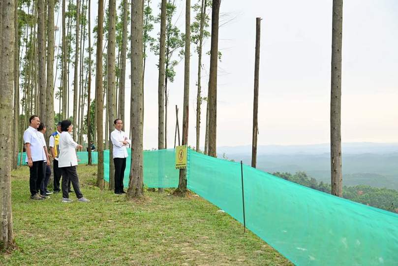 Pagi Hari di IKN, Presiden Tunjukkan Para Menteri Pemandangan IKN dari Atas Bukit