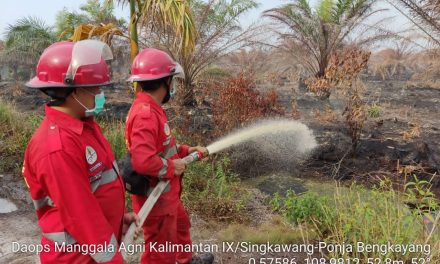 September: Siap Siaga Hadapi Puncak Kerawanan Karhutla