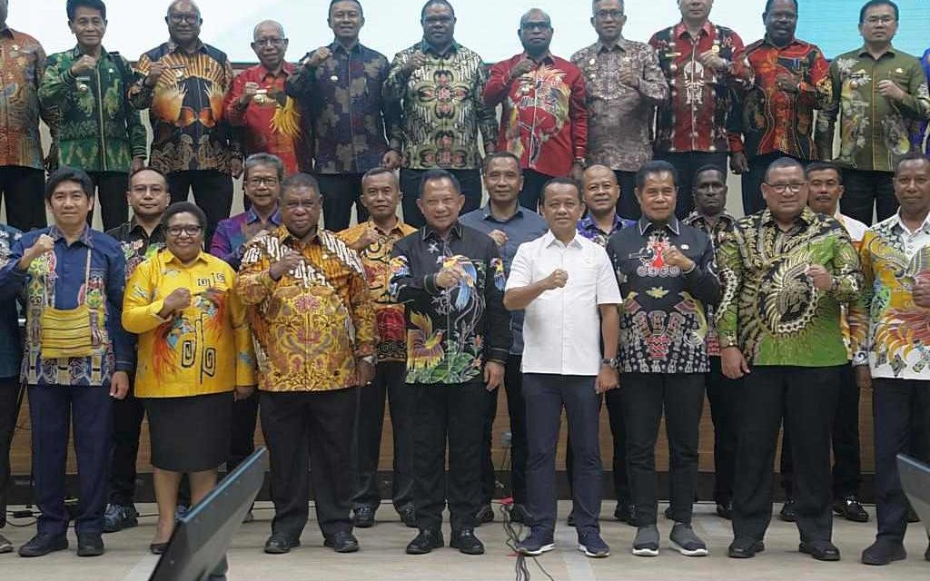 Angka Prevalensi Tinggi, Mendagri Minta Pemda se-Tanah Papua Fokus Tangani Stunting