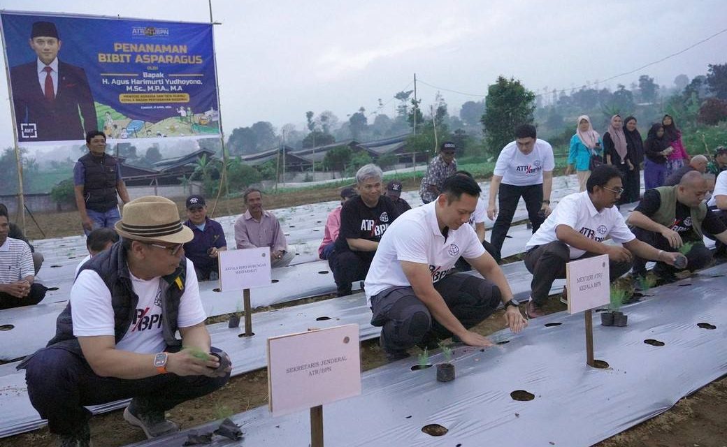 Tanam Asparagus, Menteri AHY Harap Model Reforma Agraria di Cianjur Dapat Diterapkan di Seluruh Indonesia