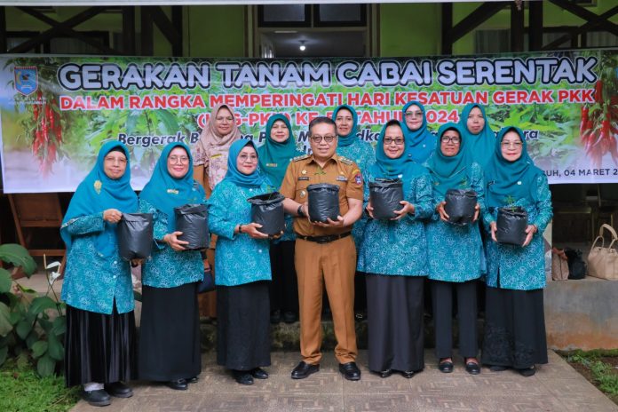 PJ Wali Kota Jasman Saat Tanam Cabai Serentak: cabai merupakan salah satu komoditi penyumbang inflasi