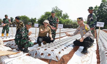 Tanam Bawang Usai Tanam Patok, Menteri AHY: Mari Berkontribusi terhadap Ketahanan Pangan