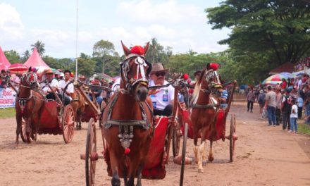 Pacu Kuda Piala Gubernur Sumbar 2024 Sukses Digelar, Suprayitno: Dorong Pariwisata dan Olahraga