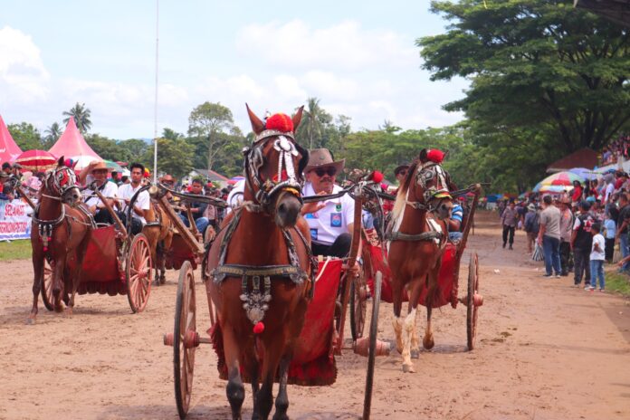 Pacu Kuda Piala Gubernur Sumbar 2024 Sukses Digelar, Suprayitno: Dorong Pariwisata dan Olahraga