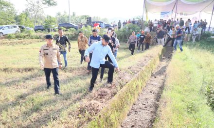 Dukung Swasembada Pangan, Wamendagri Tinjau Dua Titik Irigasi di Lampung