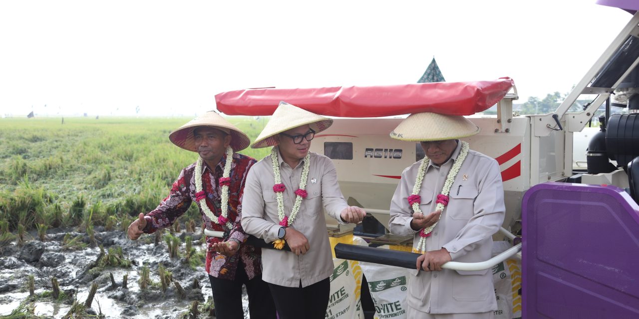 Tinjau Panen Raya di Kabupaten Bangkalan, Wamendagri Bima Arya Optimistis Swasembada Pangan Dapat Terwujud