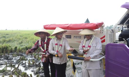 Tinjau Panen Raya di Kabupaten Bangkalan, Wamendagri Bima Arya Optimistis Swasembada Pangan Dapat Terwujud